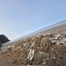 진성하나마트 이미지