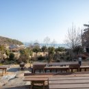 월출관광농원 이미지