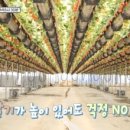 정우농장 이미지