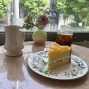 삐에드라 이미지