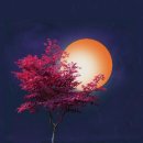 별7080 이미지