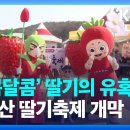 [충남 논산]2024논산딸기축제[2024.03.21 ~ 2024.03.24] 이미지