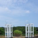 DMZ 오픈 페스티벌(DMZ전시) 이미지
