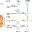 정든약국 이미지
