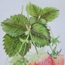 보테니컬 아트 이미지