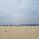 (주)선산산업 낙동강의성휴게소 | 하이캣닢 _ 부산국제반려동물산업박람회 _ 참가후기