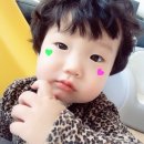 채우헤어 네이버블로그