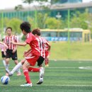 충주중앙초 이미지