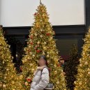 명동미디어 | 명동 신세계 미디어파사드 시간 위치 명당 주말 후기