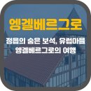 유로웰니스 이미지