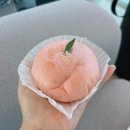 몽구도원 이미지