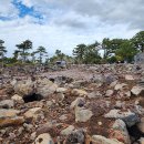 중문대포주상절리대 이미지