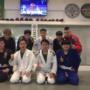 크리드 파이트 아카데미 이미지