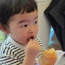 초코이도
