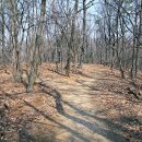 최혼 선생 묘 이미지