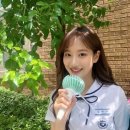 푸들사랑 이미지