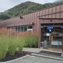 예밀촌길 | 영월 가볼만한곳 예밀 와인 족욕 센터 체험 후기｜청령포·장릉 여행 후 힐링 코스 추천