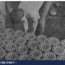 연탄직매소 이미지