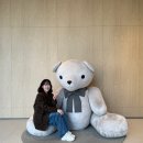 일층빨래방 | 강릉 신라모노그램 레지던스 디럭스 더블 오션뷰ㅣ수영장ㅣ주차ㅣ내돈내산