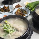 풍년식당 | 답십리맛집 풍년식당 부모님 몸보신 삼계탕 후기