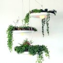 Stunning Hanging Babylon Plantable Light Fixture - 펜던트등 이미지