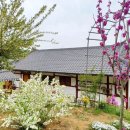 장암민박 이미지