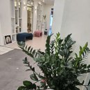 목동4층약국 이미지