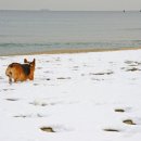 심통PC 이미지