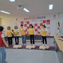 대한적십자사봉사회 속초시협의회 2026년도 응급처치 심폐소생술(CPR) 일반과정 교육 이미지
