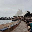 오페라하우스 | 시드니 오페라하우스 관람 내돈내산 /시드니 나비부인, 시드니 오페라하우스 D석 후기
