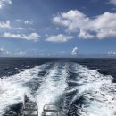 로마스할리데이 이미지