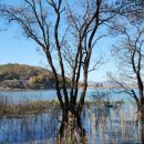 호수행정사 사무소 이미지