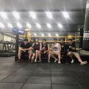 Hook Boxing Gym 이미지