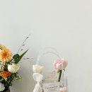 단아한프룻 이미지