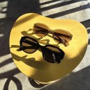 세인트옵티컬 이미지