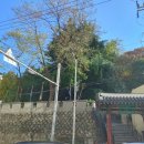 부산진성공원 북문 이미지