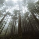 대구혜화여자고등학교 이미지