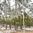 주헌 농장 이미지