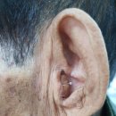 오티콘보청기도봉점 | 창동보청기 친절하게 상담해주는 곳 시그니아독일보청기 도봉센터