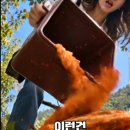 어느집 며느리 이미지