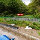 쇠골농장 이미지