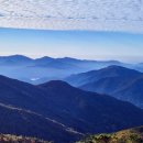 구례 지리산 리조트 이미지