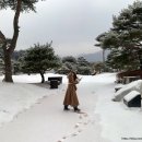 순흥도호부 유물 이미지