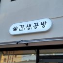 견생공방 이미지