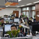 원플라워 이미지