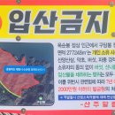 P-5313 이미지