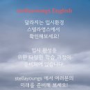 스텔라영스영어학원
