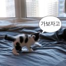 머슬팩토리24 이미지