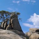 용봉산 공영주차장 이미지