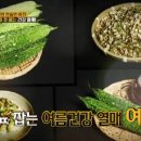 환요 이미지